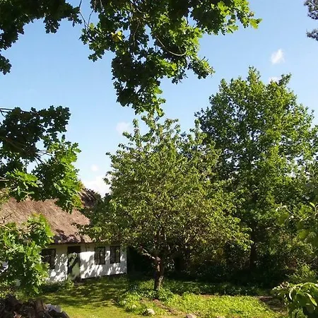 Gogge's Hus * Тисвиллелайе